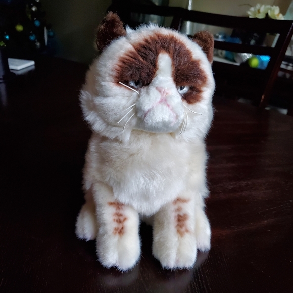 Urban Outfitters Other - 💙 Grumpy Cat Plush